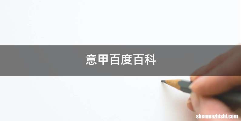 意甲百度百科