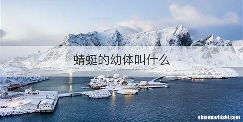 蜻蜓的幼体叫什么