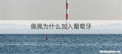 佩佩为什么加入葡萄牙