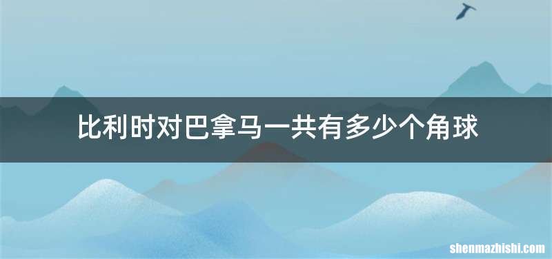 比利时对巴拿马一共有多少个角球