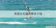 英国长毛猫大概多少钱