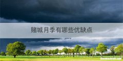 赌城月季有哪些优缺点
