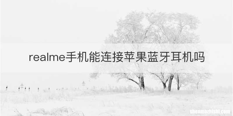realme手机能连接苹果蓝牙耳机吗