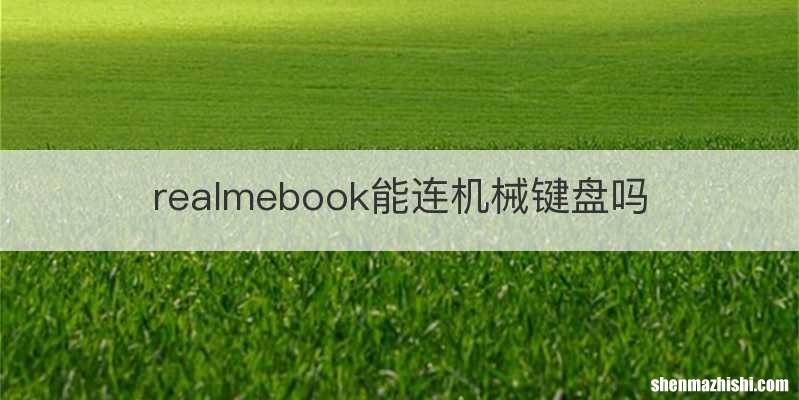 realmebook能连机械键盘吗