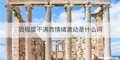 因极度不满而情绪激动是什么词