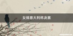 女排意大利杯决赛