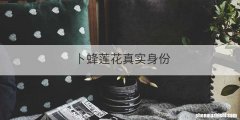 卜蜂莲花真实身份
