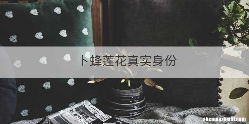 卜蜂莲花真实身份