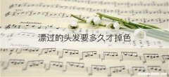 漂过的头发要多久才掉色