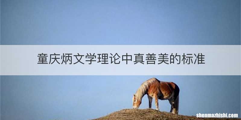 童庆炳文学理论中真善美的标准