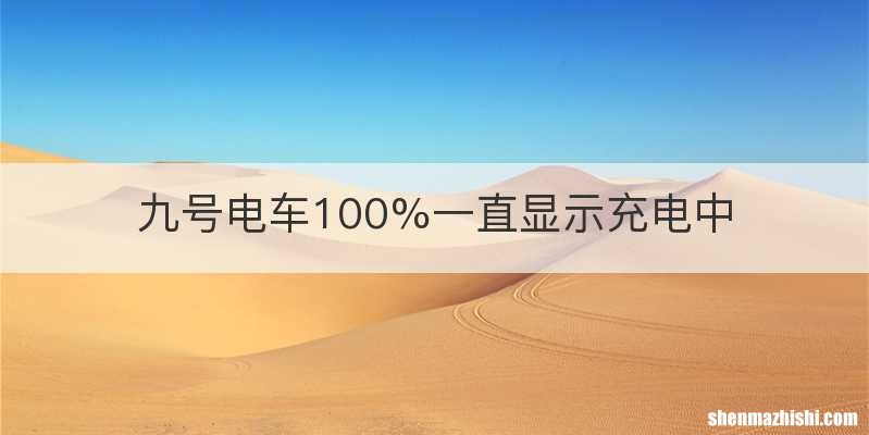 九号电车100%一直显示充电中