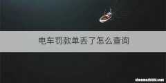 电车罚款单丢了怎么查询