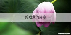 剪短发的寓意