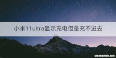 小米11ultra显示充电但是充不进去