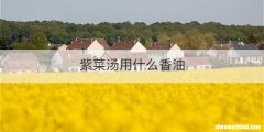 紫菜汤用什么香油