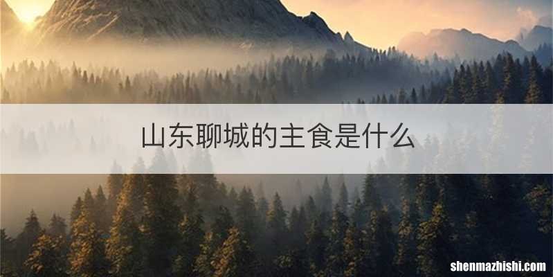 山东聊城的主食是什么