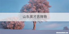 山东英才吉祥物
