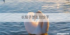 长茄子怎么包饺子