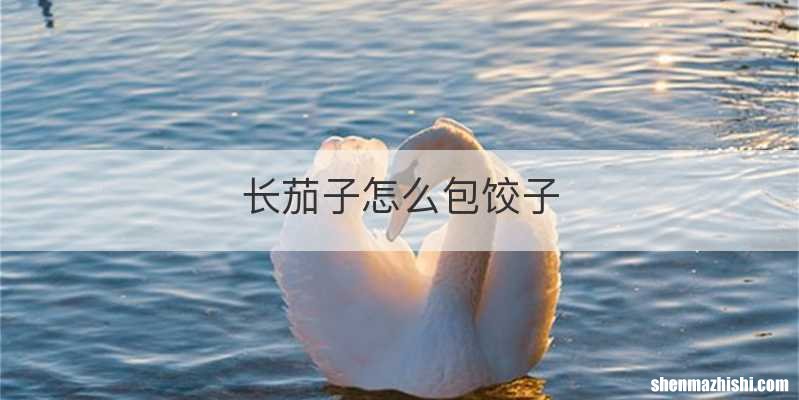 长茄子怎么包饺子