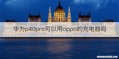 华为p40pro可以用oppo的充电器吗