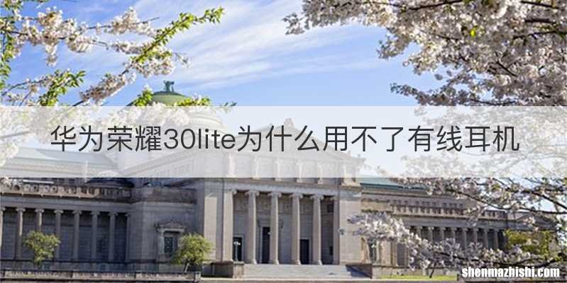 华为荣耀30lite为什么用不了有线耳机