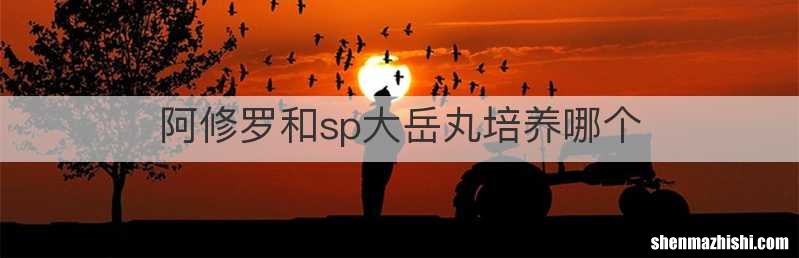 阿修罗和sp大岳丸培养哪个