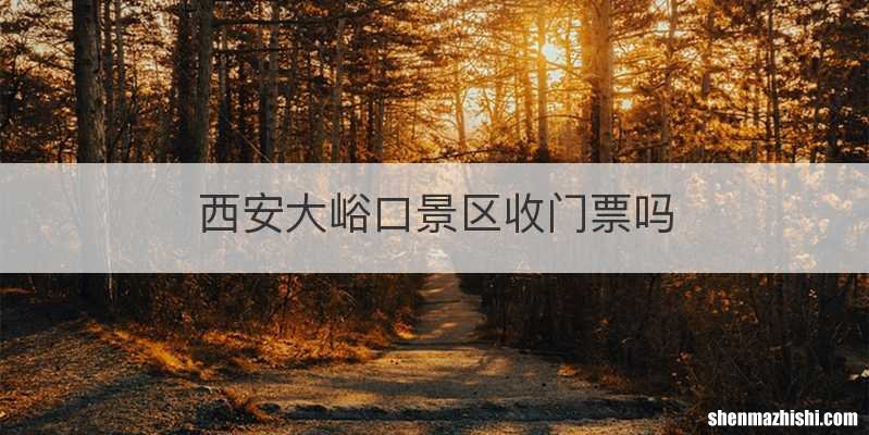 西安大峪口景区收门票吗