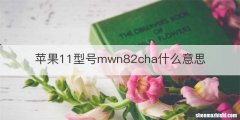 苹果11型号mwn82cha什么意思
