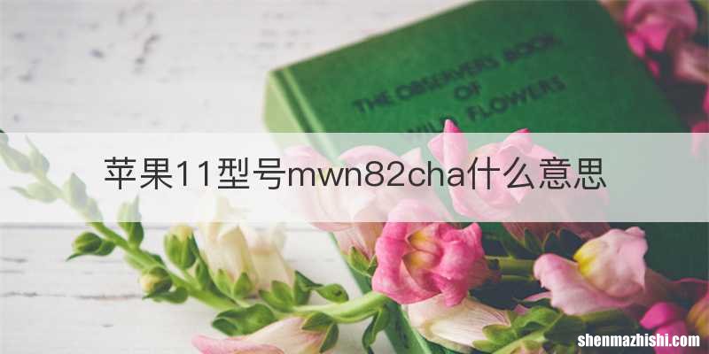 苹果11型号mwn82cha什么意思