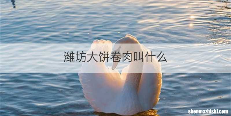 潍坊大饼卷肉叫什么