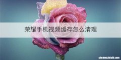 荣耀手机视频缓存怎么清理