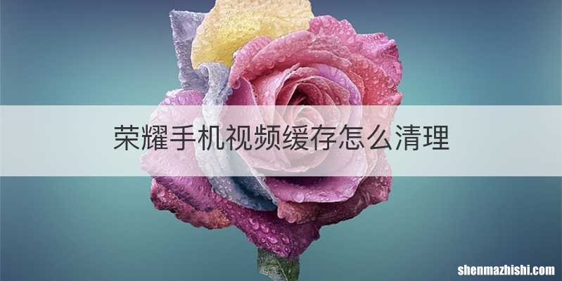 荣耀手机视频缓存怎么清理