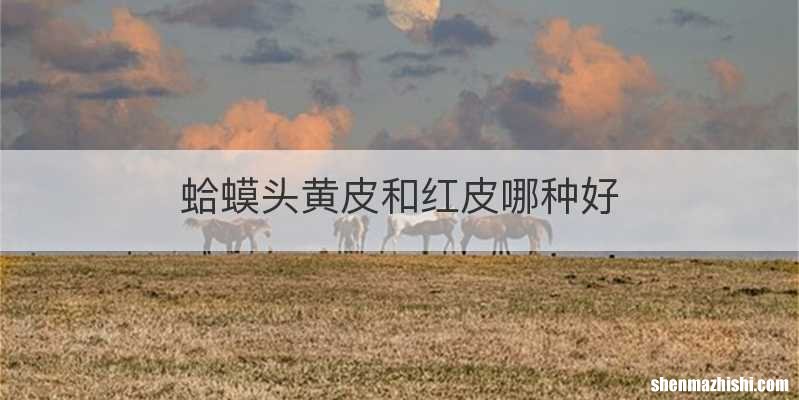 蛤蟆头黄皮和红皮哪种好