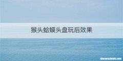 猴头蛤蟆头盘玩后效果