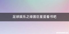 足球娱乐之绿茵巨星爱看书吧