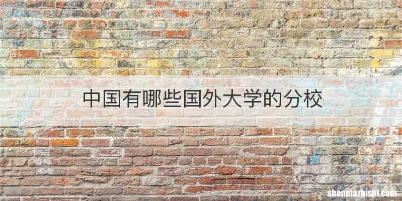 中国有哪些国外大学的分校