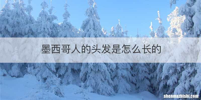 墨西哥人的头发是怎么长的