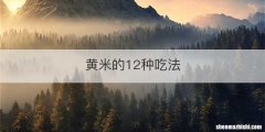 黄米的12种吃法