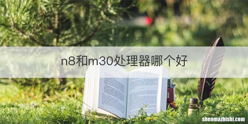 n8和m30处理器哪个好