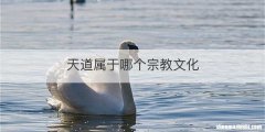 天道属于哪个宗教文化