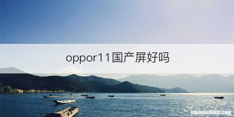 oppor11国产屏好吗