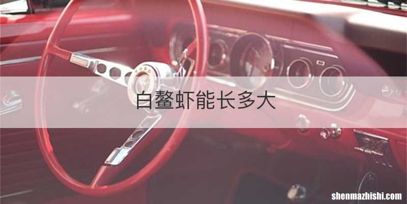 白鳌虾能长多大