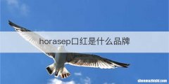 horasep口红是什么品牌