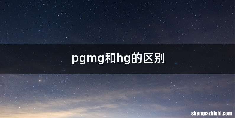 pgmg和hg的区别