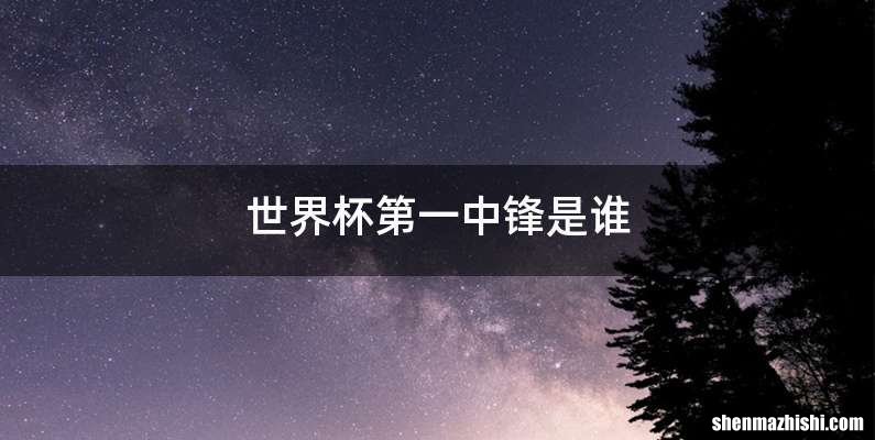 世界杯第一中锋是谁