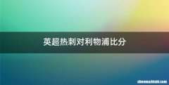 英超热刺对利物浦比分