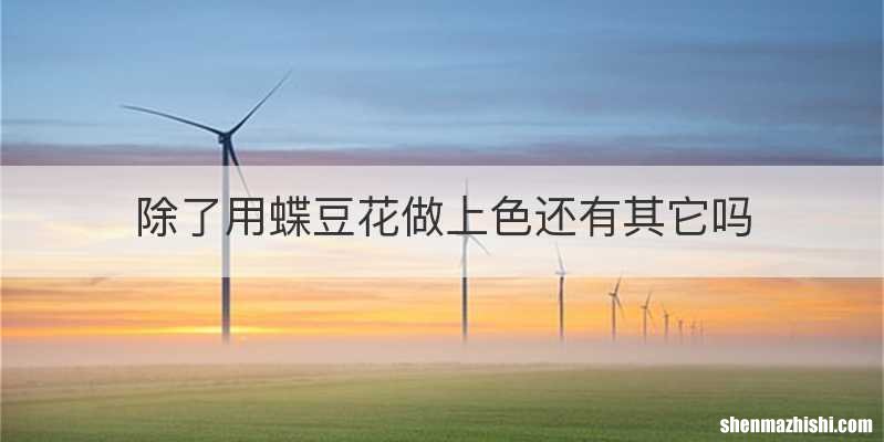 除了用蝶豆花做上色还有其它吗