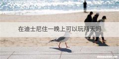 在迪士尼住一晚上可以玩两天吗