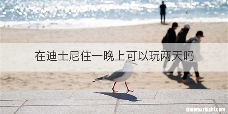 在迪士尼住一晚上可以玩两天吗