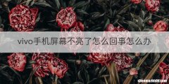 vivo手机屏幕不亮了怎么回事怎么办